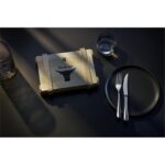 3201000258 Wmf Et Çatal+ Bıçak Seti Kutulu – STANDART - Görsel 4