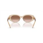 Swarovski 0sk6002 10341353 Hn Kadın Gözlük – STANDART - Görsel 3