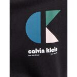 Ck Lv04rc285g Ls Eu 350terry Ck Bauhaus Logo C Erkek Sweatshirt – SİYAH - Görsel 2