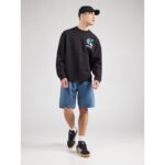 Ck Lv04rc285g Ls Eu 350terry Ck Bauhaus Logo C Erkek Sweatshirt – SİYAH - Görsel 4