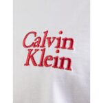 Ck Lv04rc808g Ss 16s Calvın Resort Scrıpt Grap Erkek Tshırt – BEYAZ - Görsel 2