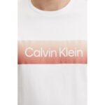 Ck K10k114163 Lınear Ombre Chest Logo Erkek Tshirt – BEYAZ - Görsel 5