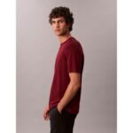 Ck Lv04lb275g Ss Supıma Chest Emb Crewneck Tee Erkek Tshırt – BORDO - Görsel 4