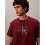 Ck Lv04rb862g Ss Hero Monologo Tee 20s Erkek Tshırt – BORDO - Görsel 3