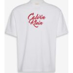 Ck Lv04rd801g Ss 16s Sn Cursıve Calvın Graphıc Erkek Tshırt – BEYAZ - Görsel 6