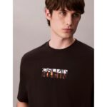 Ck Lv04rd808g Ss 16s Tc Calvın Kleın Block Gra Erkek Tshırt – SİYAH - Görsel 2