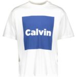 Ck Lv04rd813g Ss 16s Io Calvın Box Graphıc Tee Erkek Tshırt – BEYAZ