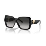 Tıffany & Co. 0tf4219 80013c29 Kadın Gözlük – STANDART