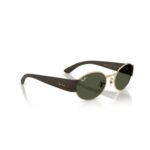 Rayban 0rb3770 001/3154 Unısex Gözlük – STANDART - Görsel 4