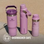 Stanley 10-09993-312 Stanley The Iceflow Flip Straw Pipetli Termos Bardak 0,89 Lt Lila – LİLA - Görsel 4