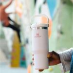 Stanley 10-09993-196 Stanley The Iceflow Flip Straw Pipetli Termos Bardak 0,89 Lt Pembealtın – PEMBEALTIN - Görsel 4