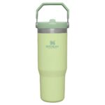 Stanley 10-09993-197 Stanley The Iceflow Flip Straw Pipetli Termos Bardak 0,89 Lt Açık Yeşil – AÇIK YEŞİL