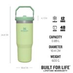 Stanley 10-09993-197 Stanley The Iceflow Flip Straw Pipetli Termos Bardak 0,89 Lt Açık Yeşil – AÇIK YEŞİL - Görsel 4