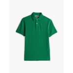 Th Mw0mw17770 1985 Regular Polo Erkek Tshırt – YEŞİL - Görsel 9