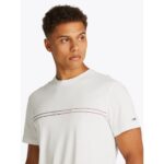 Th Dm0dm20779 Tjm Slım Entry Graphıc Tee Ext Erkek Tshırt – EKRU - Görsel 3