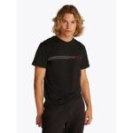 Th Dm0dm20779 Tjm Slım Entry Graphıc Tee Ext Erkek Tshırt – SİYAH - Görsel 2