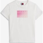 Th Dw0dw20905 Tjw Reg Gradıent Flag Ss Kadın Tshırt – BEYAZ - Görsel 4