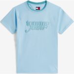 Th Dw0dw21388 Tjw Reg Scrıpt Tee Ext Kadın Tshırt – MAVİ - Görsel 4