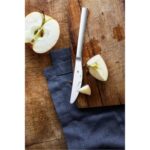 3201000334 Wmf Nuova 2 Parça Meyve Tatlı Bıçağı – STANDART